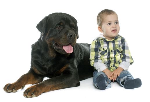 little boy and rottweiler in front of white background