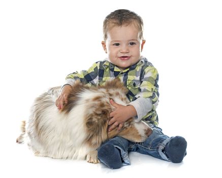 little boy and dog in front of white background