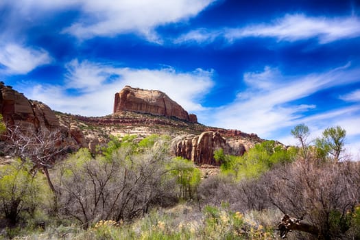 canyonlands nationalpark landscapes in utah