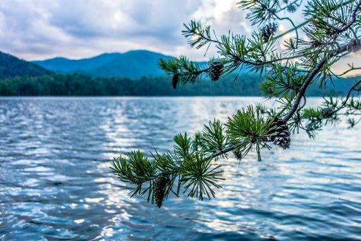 nature landscapes around lake santeetlah north carolina