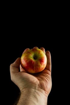 Person holding out an apple to be tasted by someone else