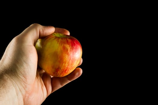 Fresh apple in the hand ready to eat