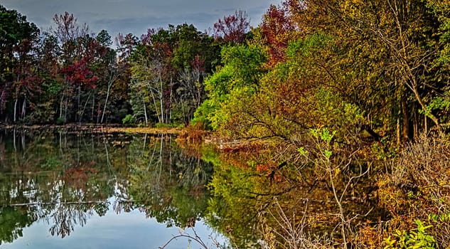 nature landscapes around lake wylie south carolina