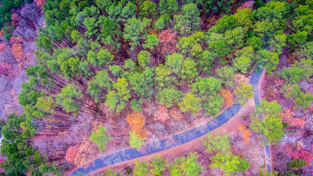aerial view over wooded forest and road