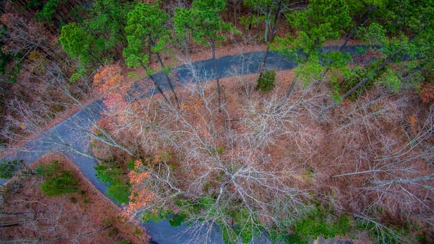 aerial view over wooded forest and road