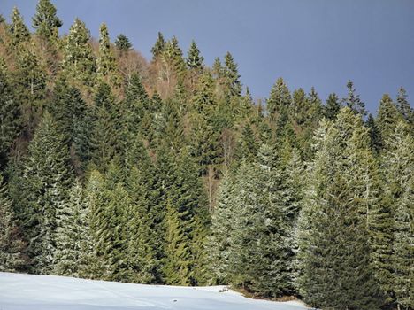 Magnificent landscape one winter evening