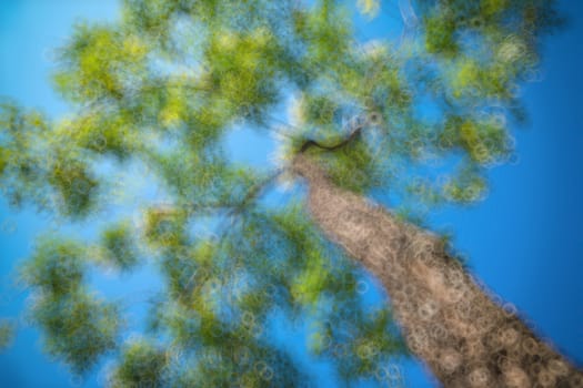 abstract natural blur background, defocused leaves, bokeh, nature background