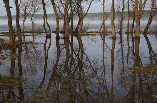 The spring flood on the lake in the early morning.