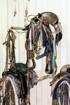 Horse harness suspended from a hook on the wall in the stable