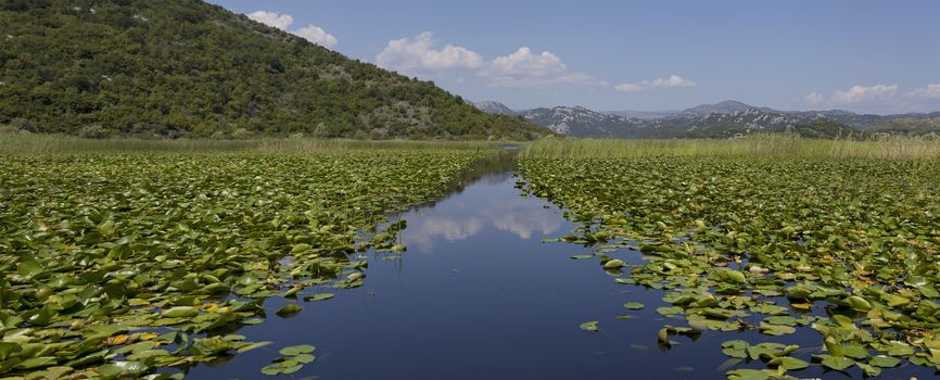 Panorama of Lake Skadar in Montenegro.
