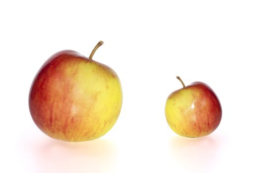 big and small juicy red and yellow apples against a white background with clipping path
