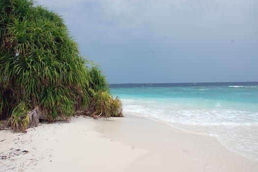 Empty white sand beach Maldives, Indian Ocean