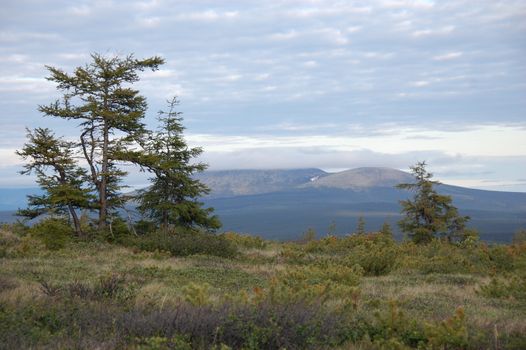 Kolyma region mountain range, Chersky, Yakutia and Chukotka border, Russia