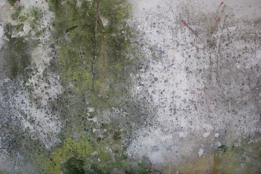 old bark wood as a natural background