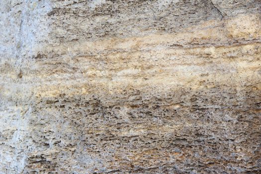 old bark wood as a natural background