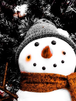 celebrate Christmas with snowman