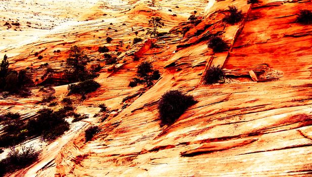 texture of the mountain at Zion national park