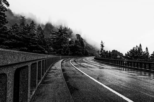 bridge with foggy view in winter