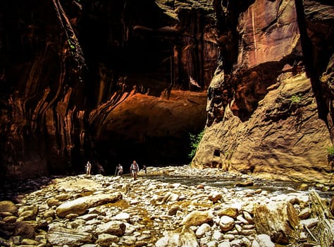 hiking at Zion national park,USA