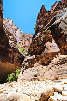 mountain view from Zion national park,USA