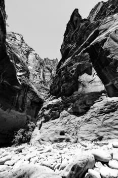 mountain view at Zion national park in black and white