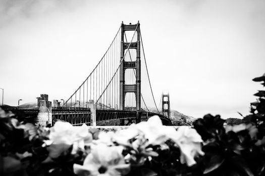 Golden Gate bridge, San Francisco, USA in black and white