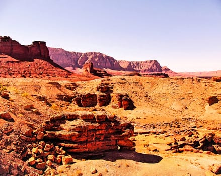 desert view from Utah,USA in summer