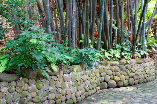 bamboo, rock background