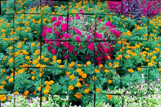 flower garden background 