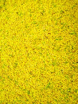 background yellow flowers