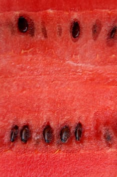 piece of fresh watermelon