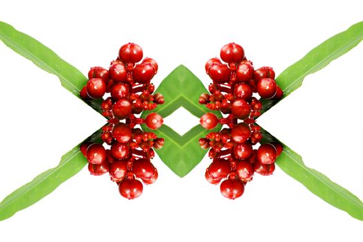 red wild fruit isolated on white 