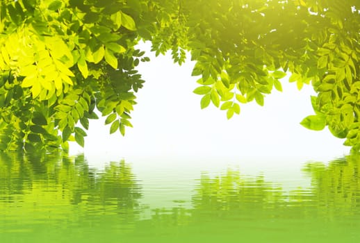 Abstract natural backgrounds for your design 