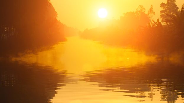 dawn on the river with dew
