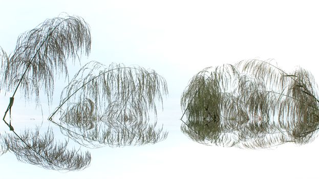 grass