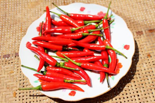 the chillis in the plate