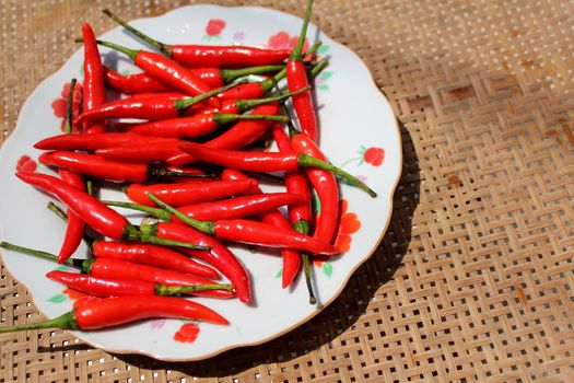 the chillis in the plate