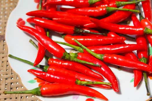 the chillis in the plate