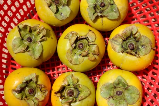 The persimmons in the basket