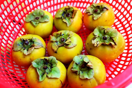 The persimmons in the basket