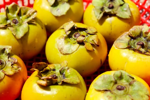 The persimmons in the basket