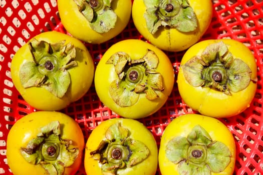The persimmons in the basket