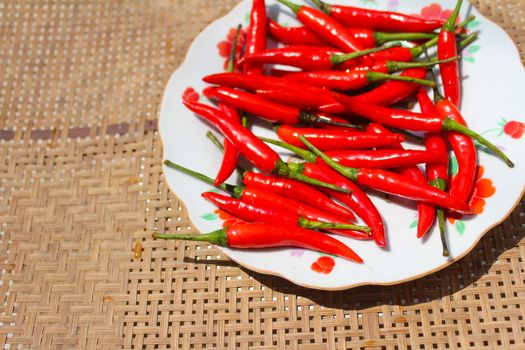 the chillis in the plate