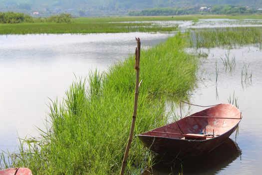 The boat on the river