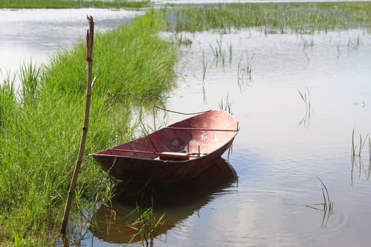 The boat on the river