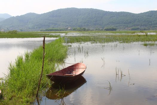 The boat on the river