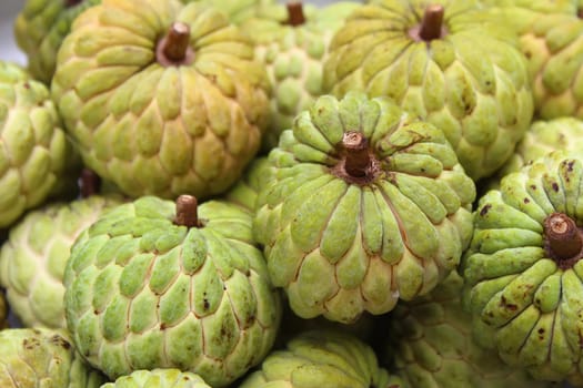 Custard apple fruit