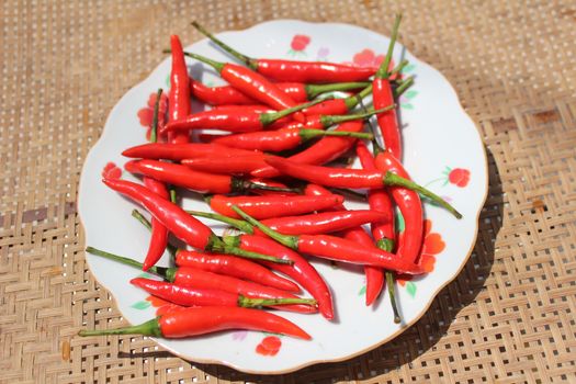 the chillis in the plate