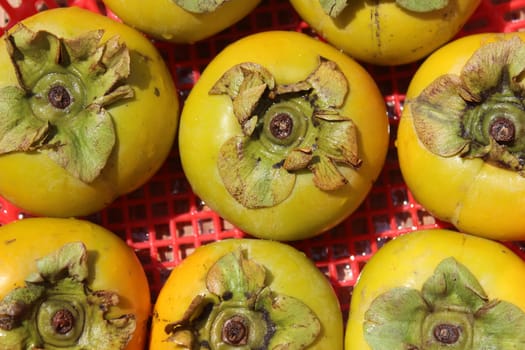 The persimmons in the basket