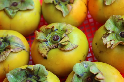 The persimmons in the basket